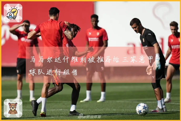 马马尔达什维利被推荐给三家意甲球队进行租借